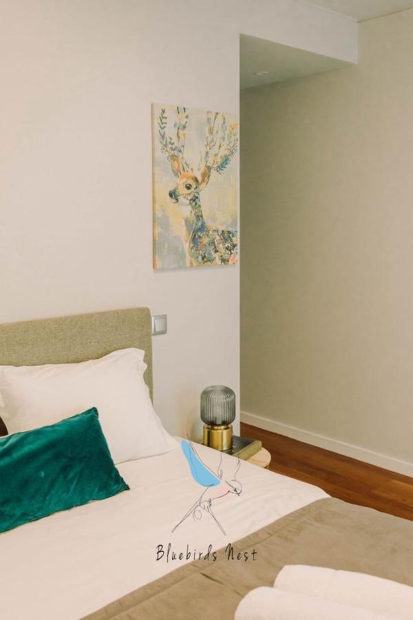 The Bluebirds Nest By Tonsdeverde Apartment