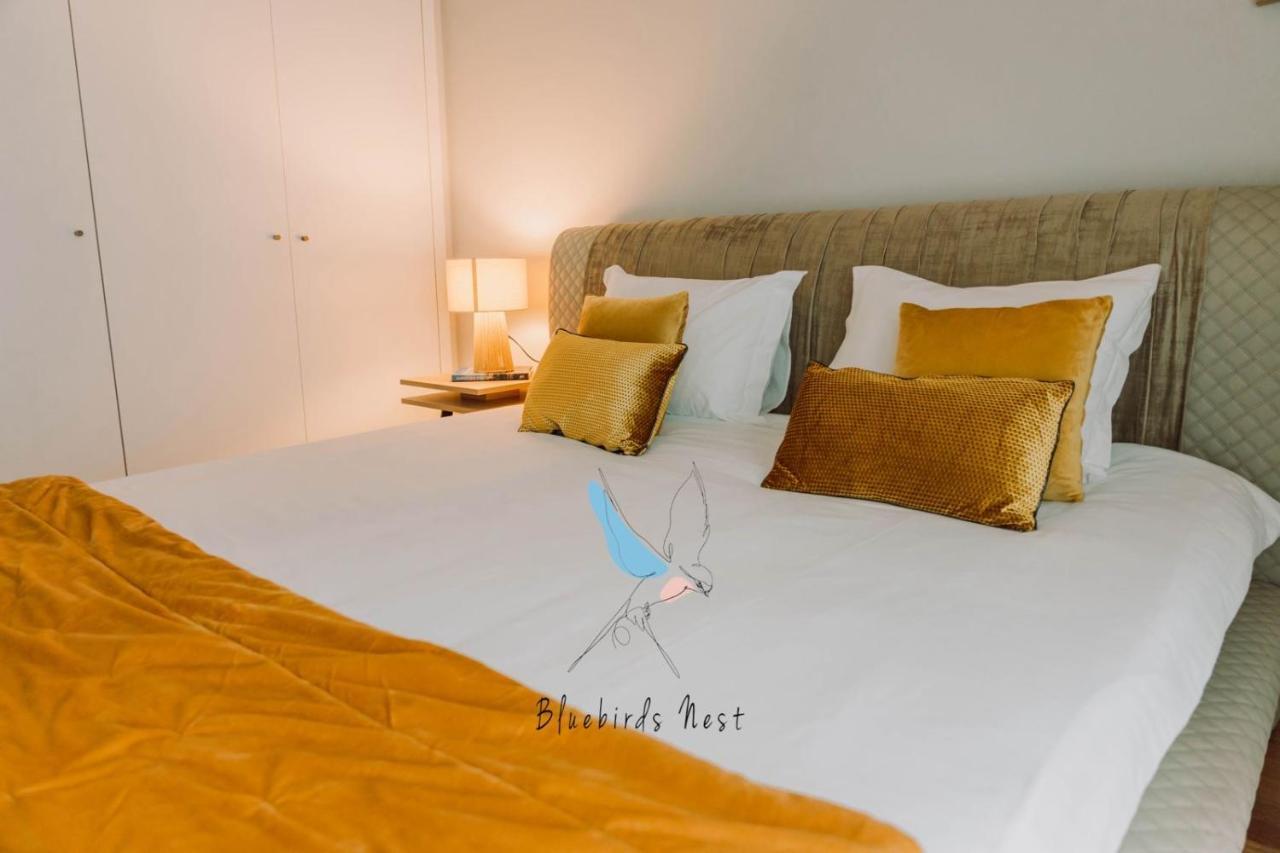 The Bluebirds Nest By Tonsdeverde Apartment *