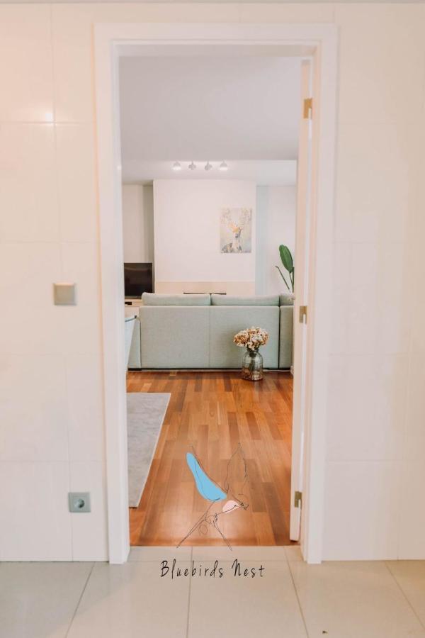 The Bluebirds Nest By Tonsdeverde Apartment