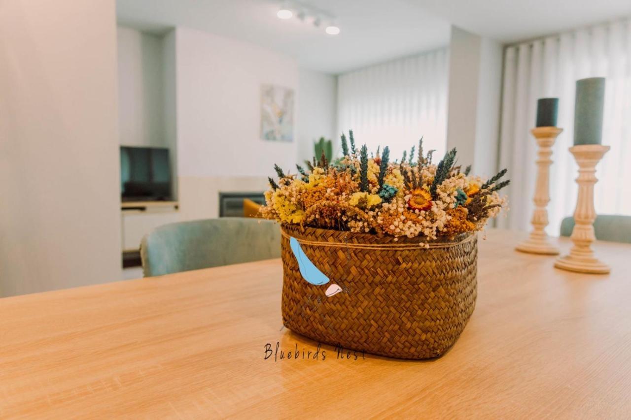 The Bluebirds Nest By Tonsdeverde Apartment *