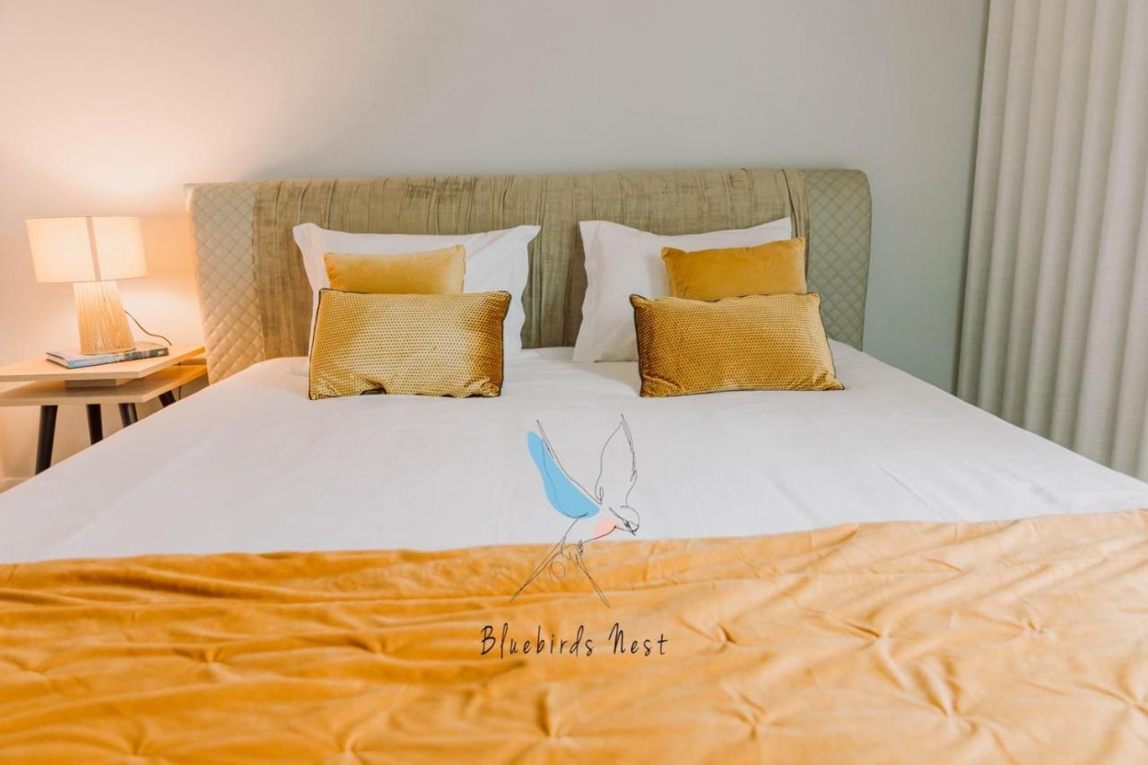 The Bluebirds Nest By Tonsdeverde Apartment Braga